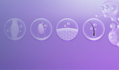 Collagen in New Zealand.