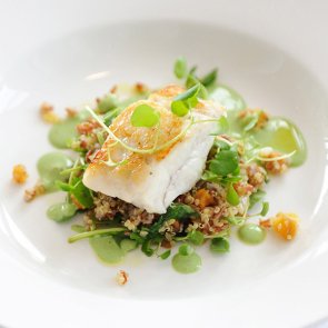 Mantells photography and web design Auckland