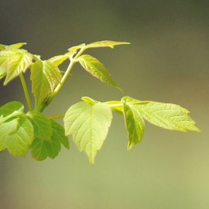 Northridge Hotel photography and responsive web design Auckland