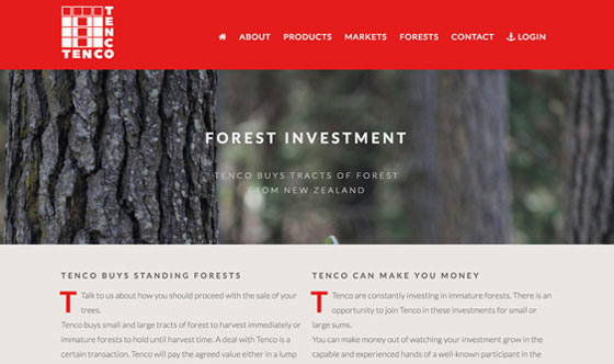 major timber exporter nz industrial web design